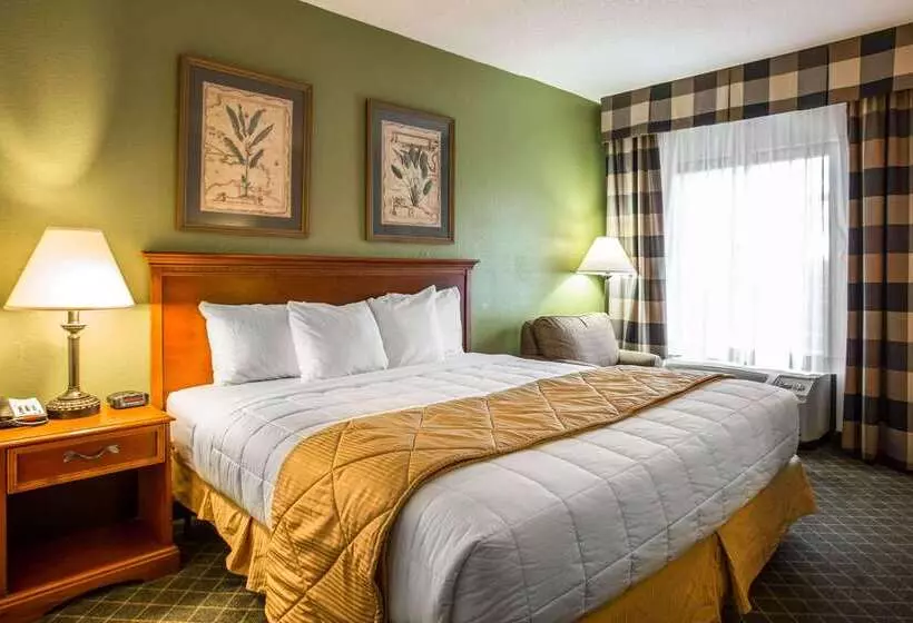 Отель Clarion Inn & Suites Aiken South