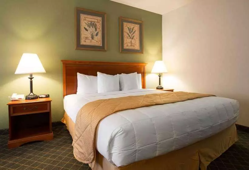 Отель Clarion Inn & Suites Aiken South