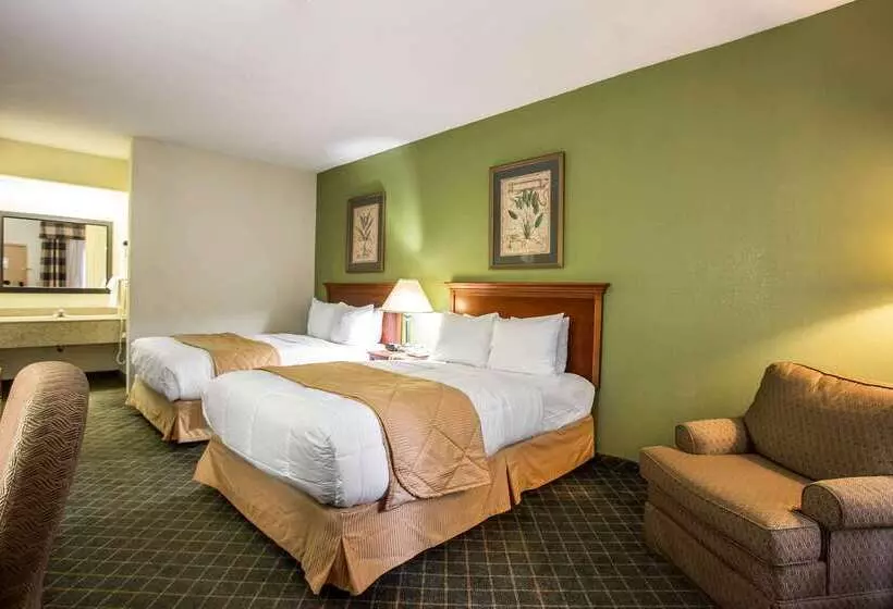 Отель Clarion Inn & Suites Aiken South