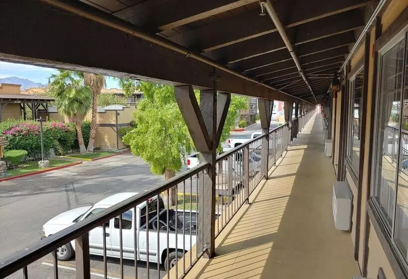 בית מלון כפרי The New Pioneer