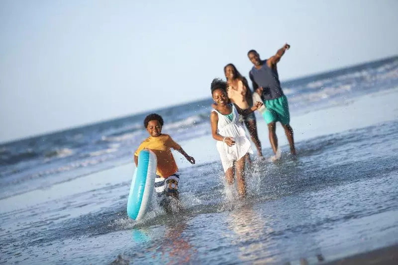 בית מלון כפרי Palms Resort