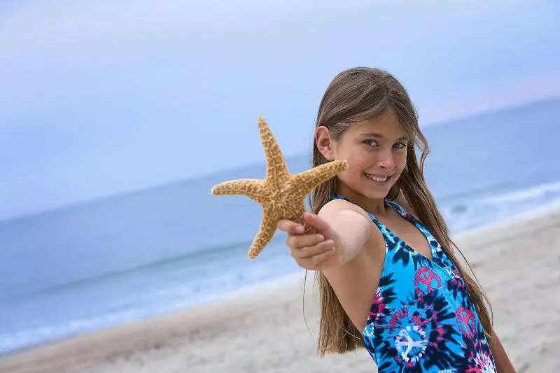 בית מלון כפרי Palms Resort