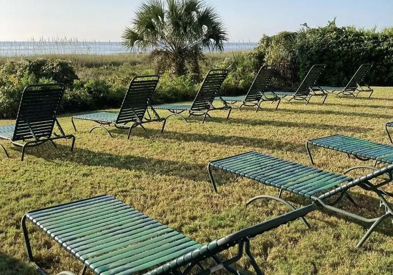 בית מלון כפרי Palms Resort