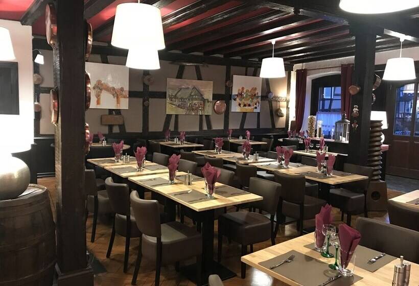 هتل Hôtel Restaurant Le Brochet