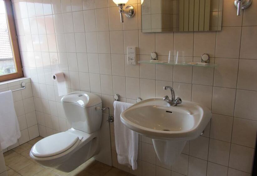 هتل Hôtel Restaurant Le Brochet