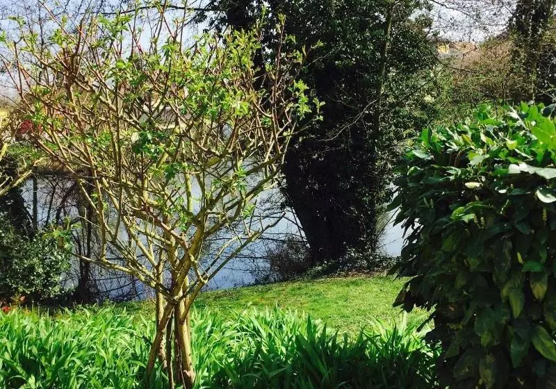 فندق L Hôtel Des Bords De L Ill