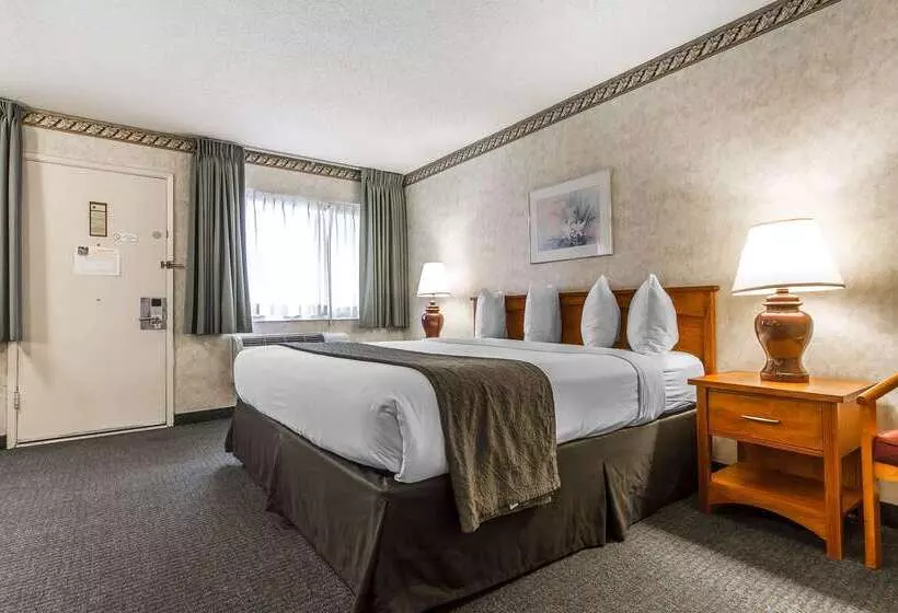 فندق Quality Inn & Suites Silicon Valley