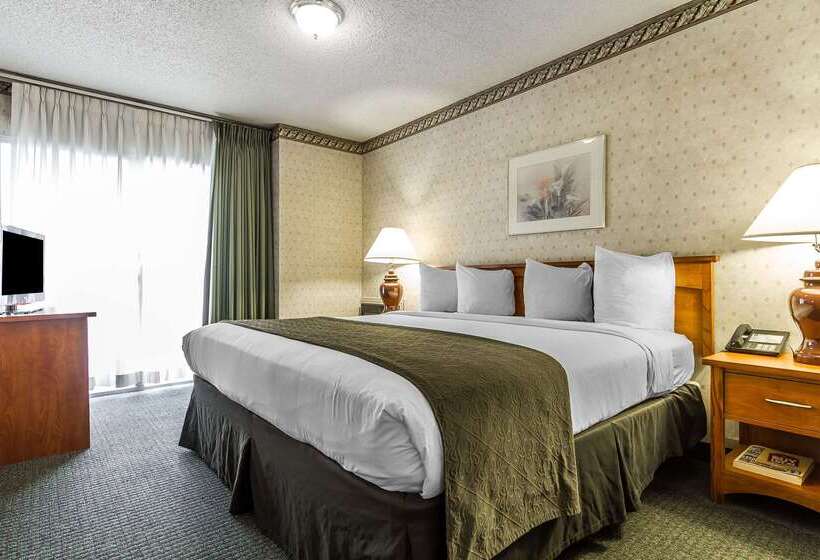 בית מלון כפרי Quality Inn & Suites Silicon Valley