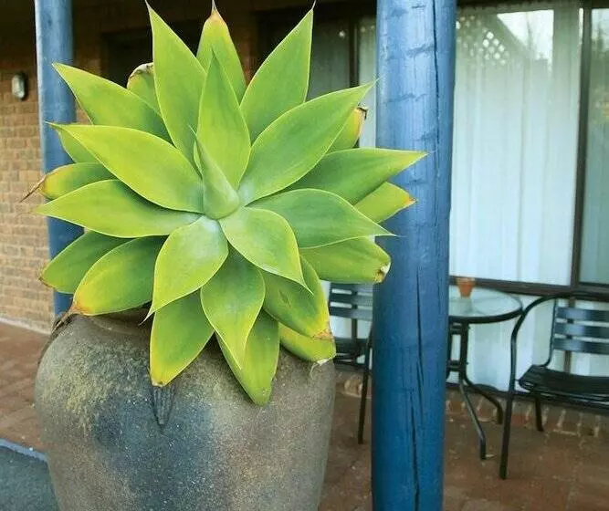 호텔 Admiral Motor Inn