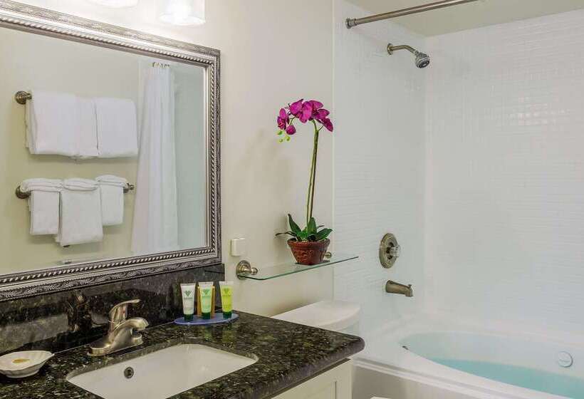 هتل Aston At The Executive Centre