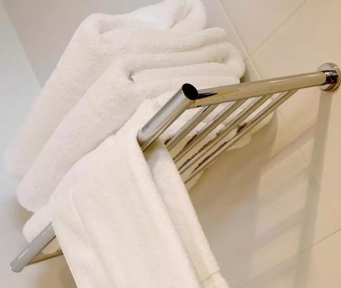 汽车旅馆  Ibis Styles Canberra Tall Trees