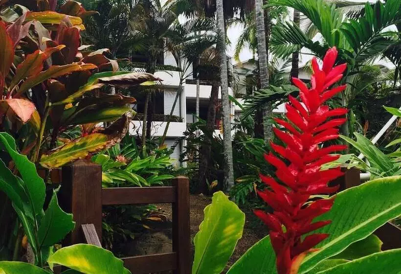 Club Tropical Resort   Official Onsite Reception & Check In