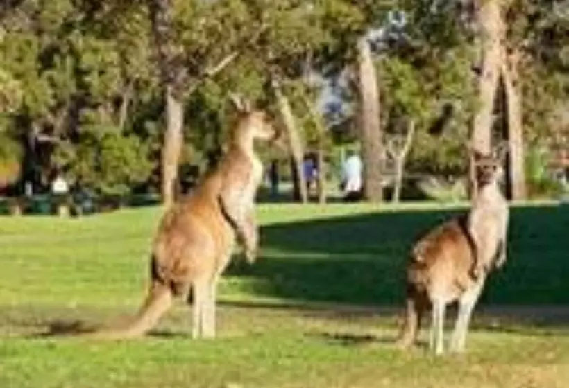 Novotel Vines Resort Swan Valley