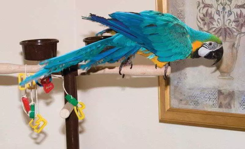 בית מלון כפרי Glenspean Lodge