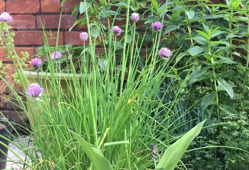 Отель The Station