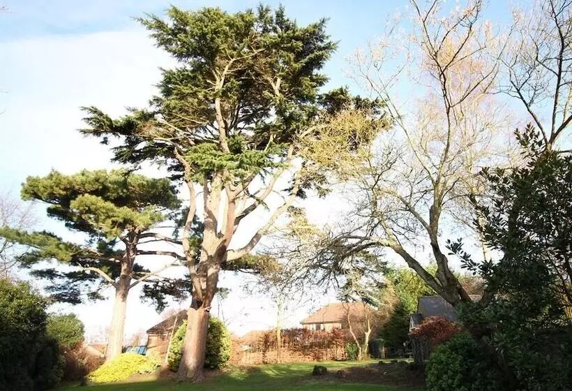 Canterbury Hotel Cottages And Apartment S