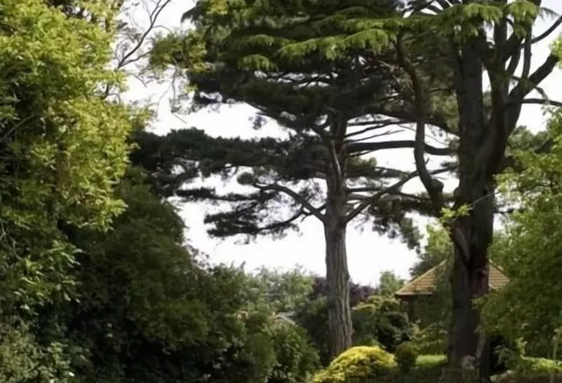 Canterbury Hotel Cottages And Apartment S