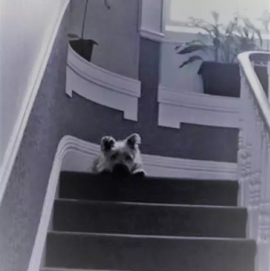 ホテル Imperial Plymouth