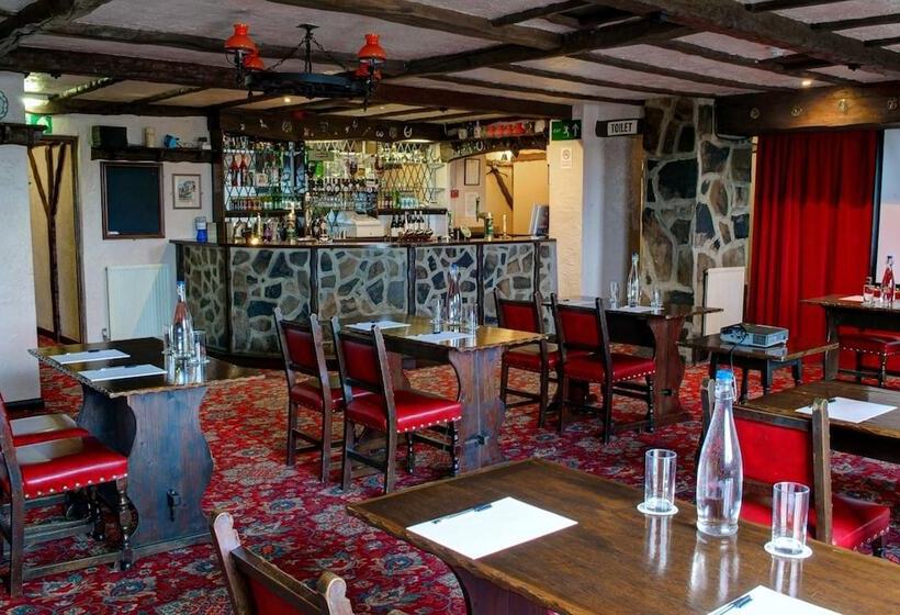 فندق The Old White Lion