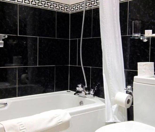 فندق The Old White Lion