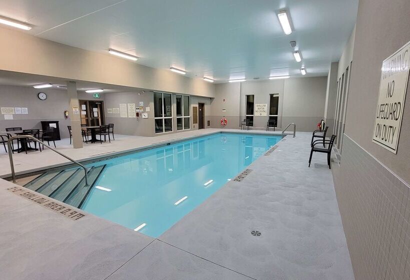 ホテル Best Western London Airport Inn & Suites