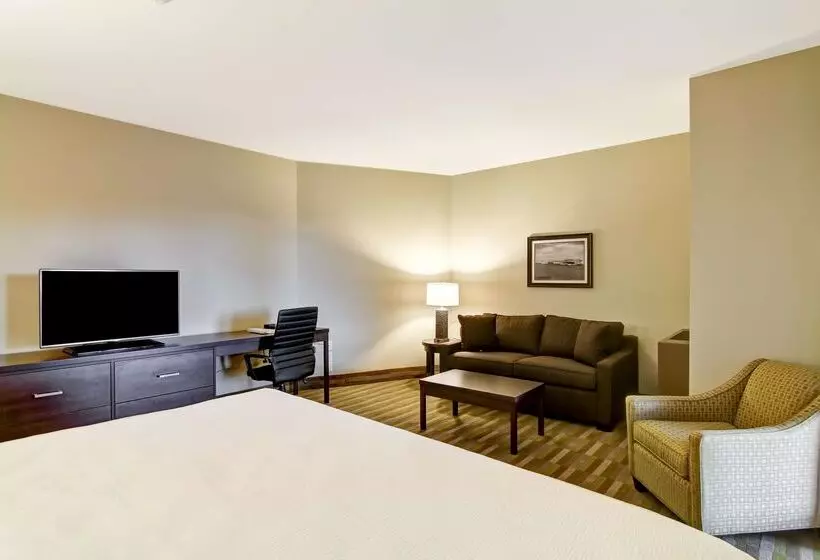 酒店 Best Western London Airport Inn & Suites