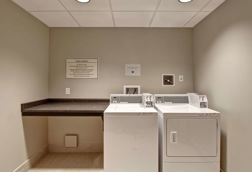 ホテル Best Western London Airport Inn & Suites