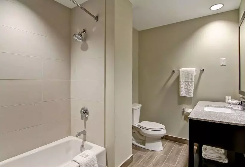 酒店 Best Western London Airport Inn & Suites