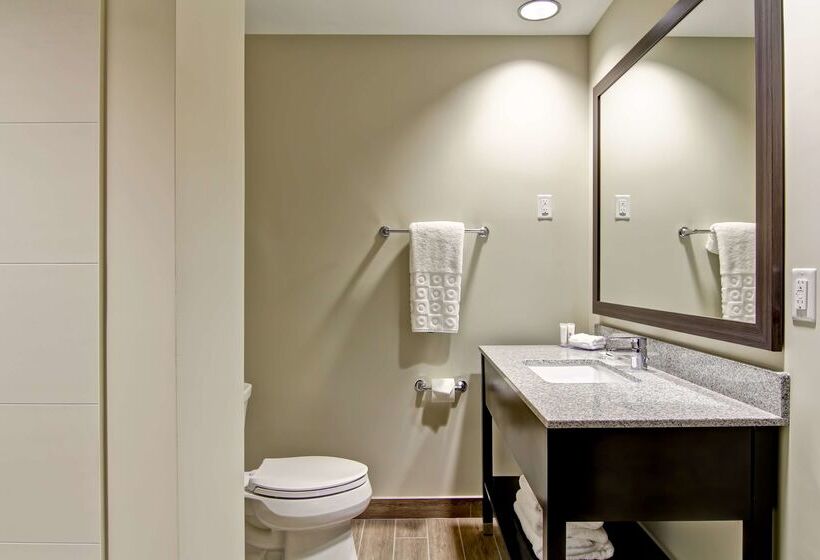 ホテル Best Western London Airport Inn & Suites