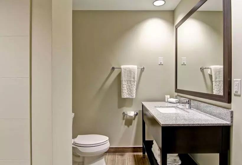 酒店 Best Western London Airport Inn & Suites