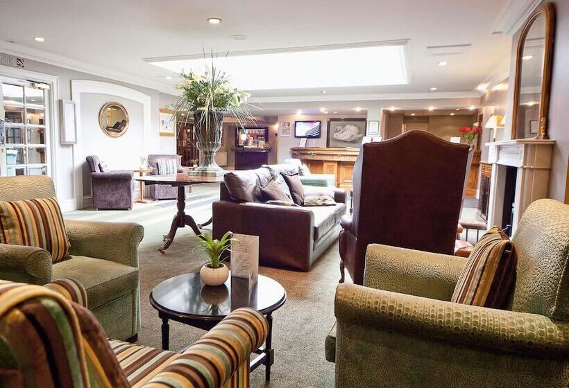 فندق Swan S Nest