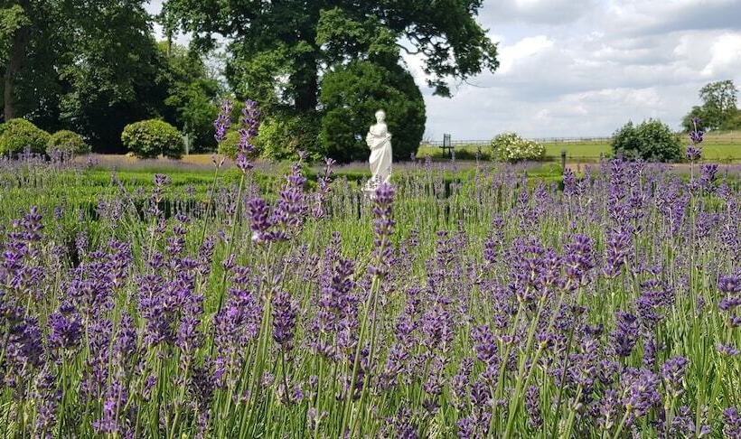 فندق Woodlands Park