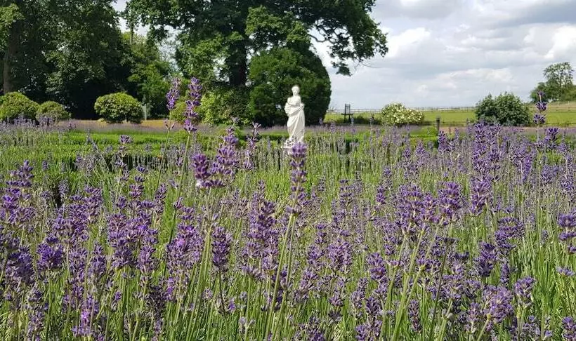 酒店 Woodlands Park