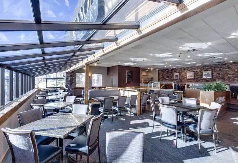 Heritage Inn Hotel & Convention Centre   High River