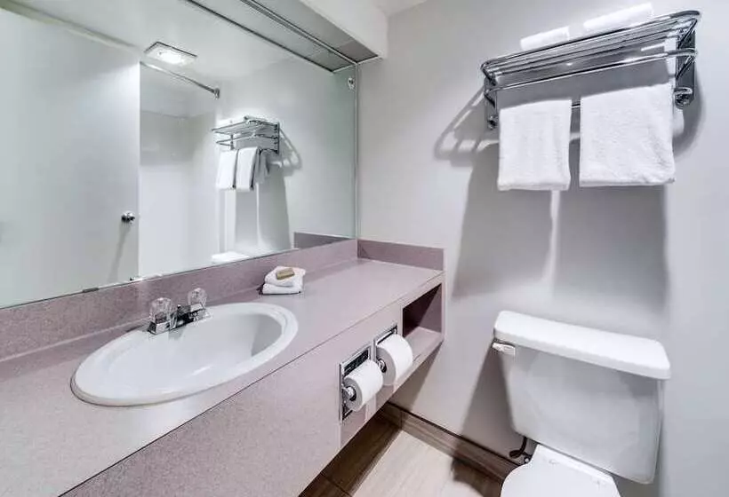 Heritage Inn Hotel & Convention Centre   High River