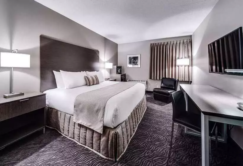 Heritage Inn Hotel & Convention Centre   High River