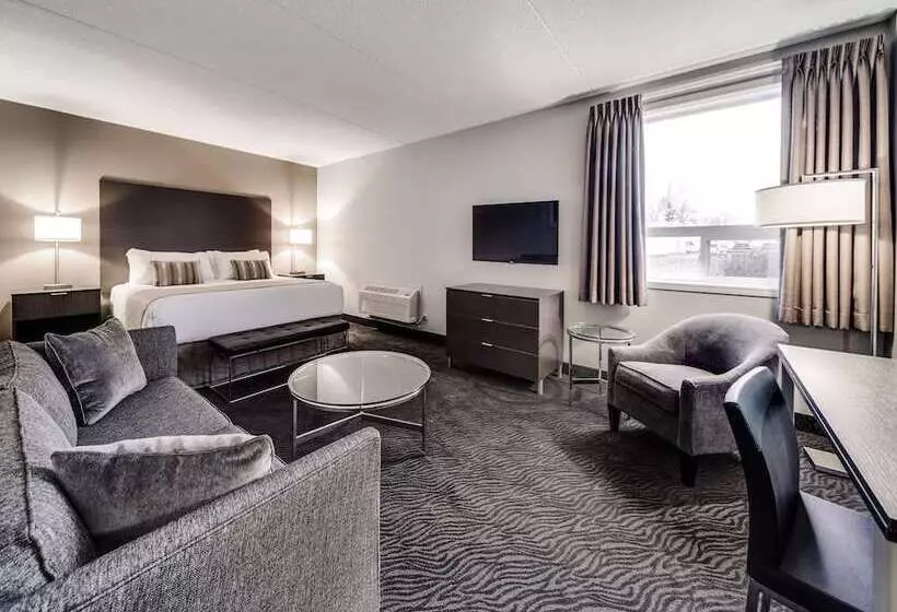 Heritage Inn Hotel & Convention Centre   High River