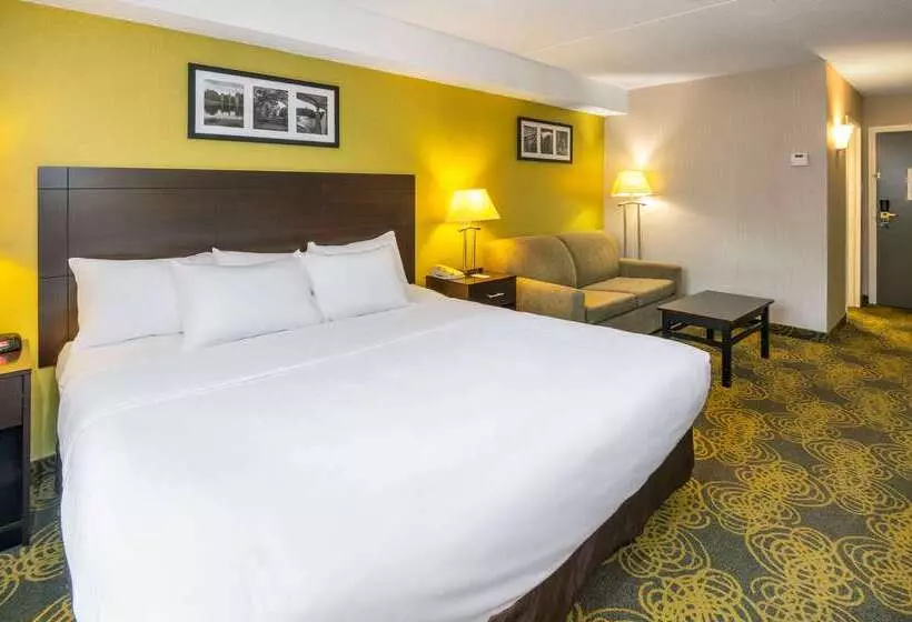 Comfort Hotel & Suites