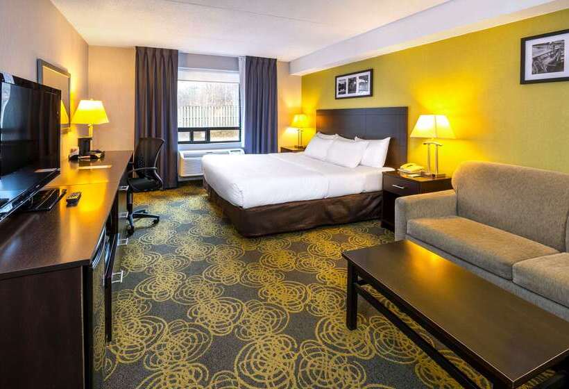 Comfort Hotel & Suites