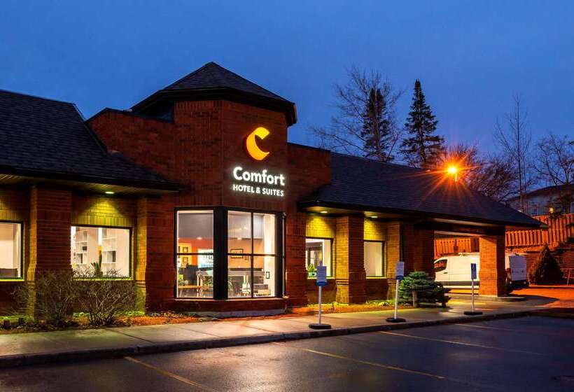 Comfort Hotel & Suites