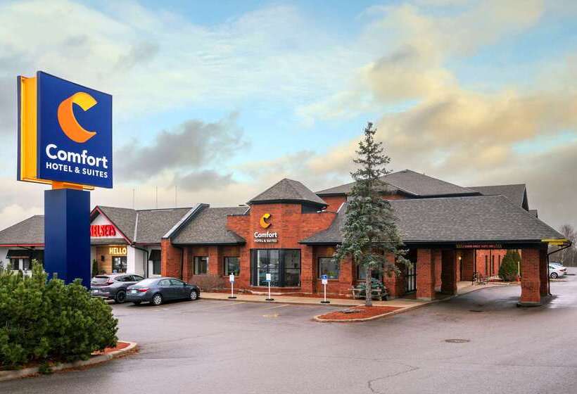 Comfort Hotel & Suites