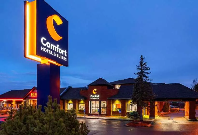 Comfort Hotel & Suites