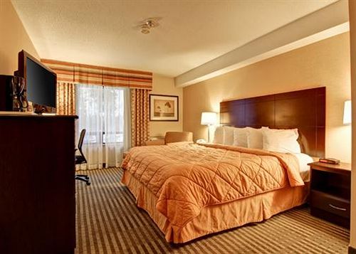 فندق Comfort Inn East Scarborough