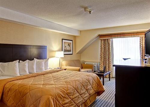 فندق Comfort Inn East Scarborough