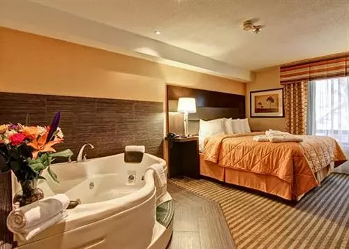 酒店 Comfort Inn East Scarborough