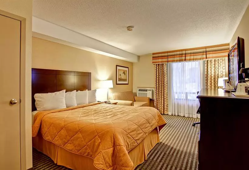 酒店 Comfort Inn East Scarborough