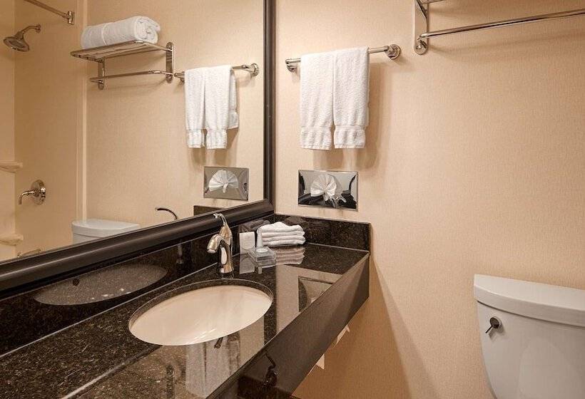 هتل Hampton Inn By Hilton Winnipeg Downtown