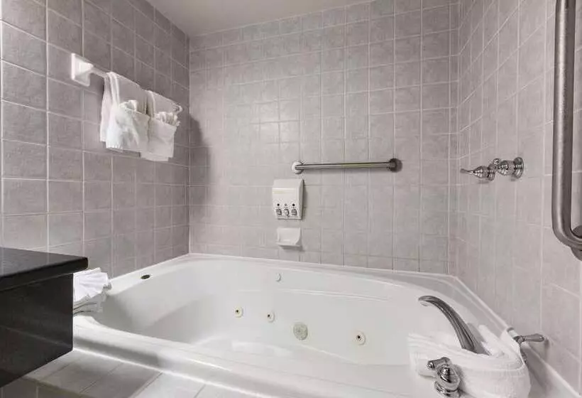 酒店 Days Inn By Wyndham Ottawa West