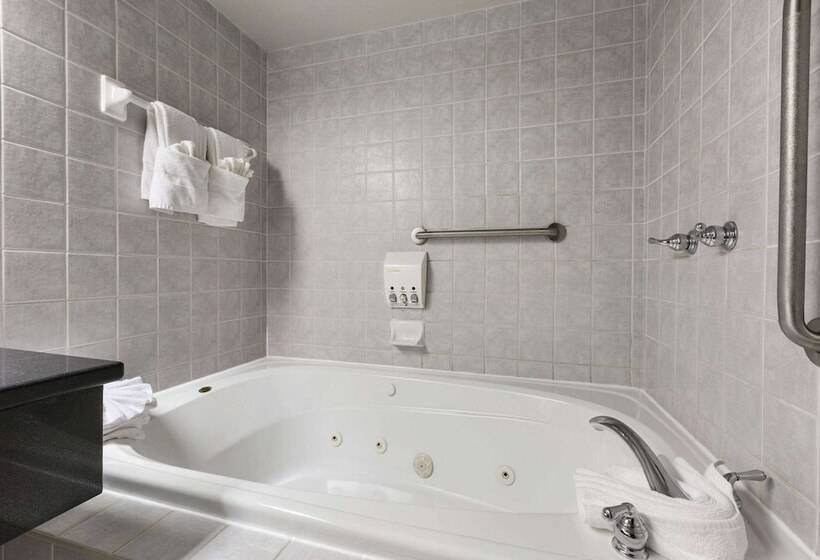 فندق Days Inn By Wyndham Ottawa West