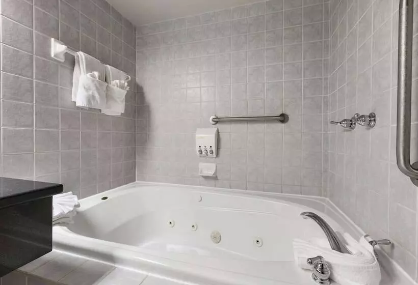 酒店 Days Inn By Wyndham Ottawa West